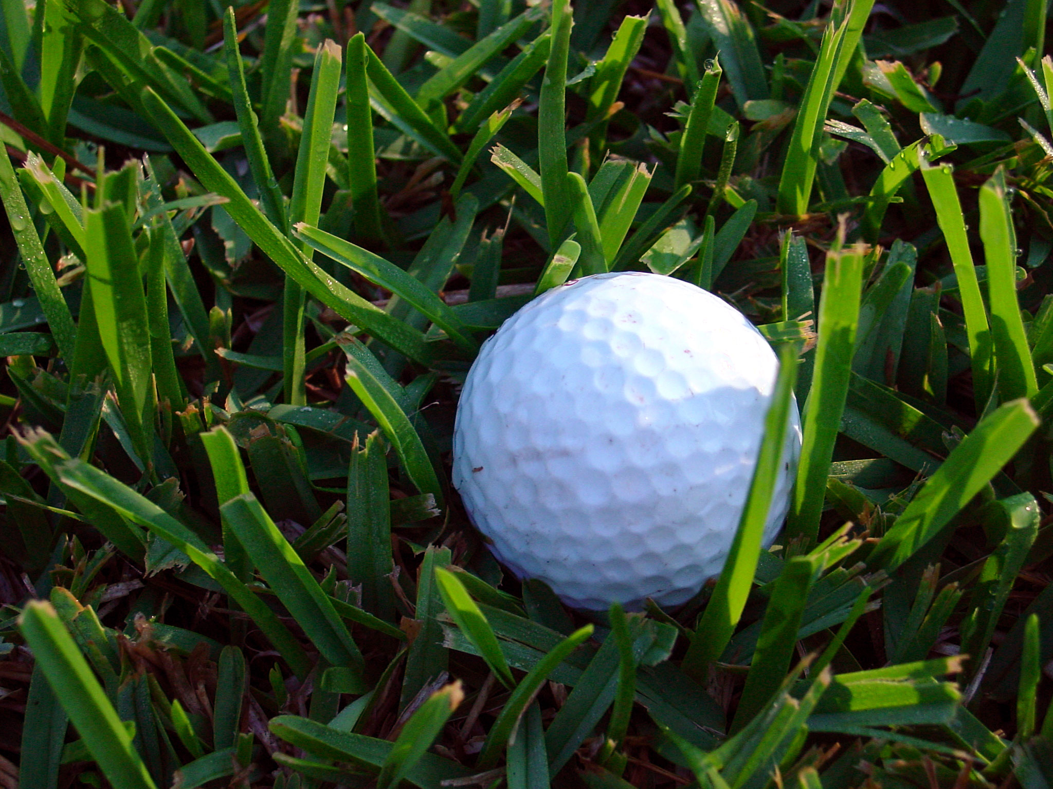 Okeeheelee Golf Course In West Palm Beach Okeeheelee Golf Course In West Palm Beach